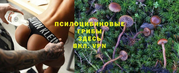 мет Баксан